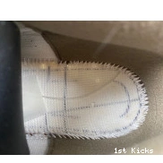 CT8532-102 Jordan Air Palomino 3 0816